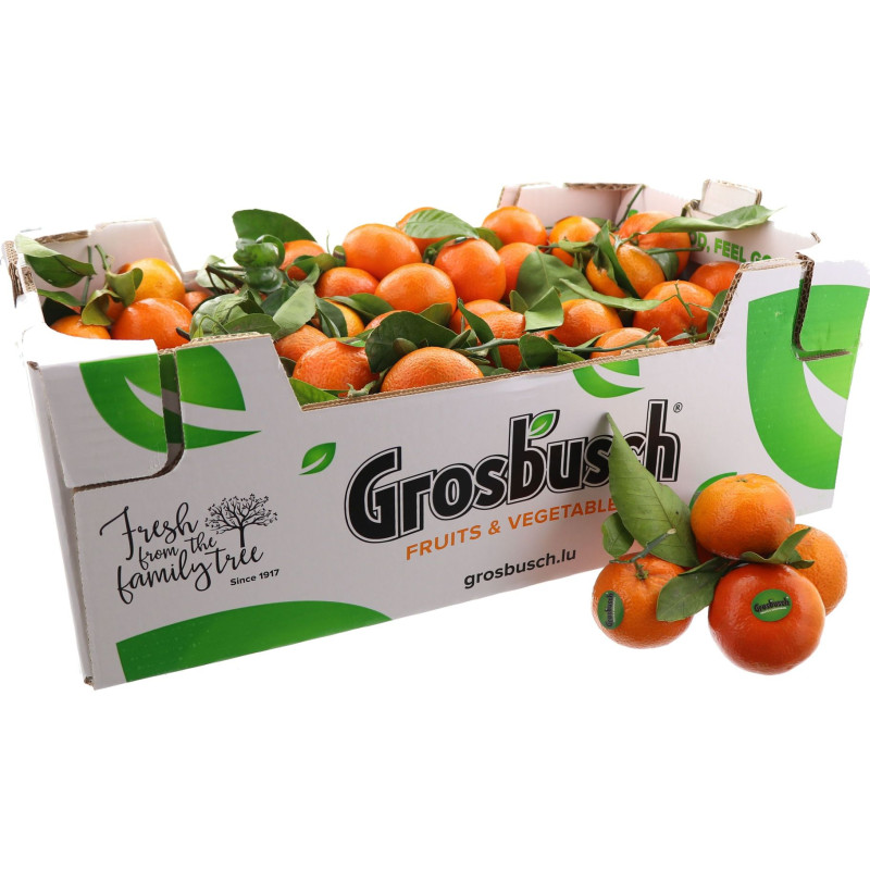 CLEMENTINE FEUILLE NADORCOTT GROSBUSCH CAL2 10KG